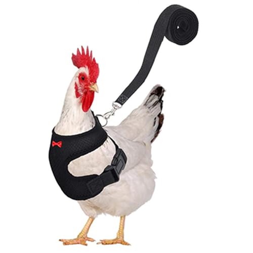 Huhn und Blei-Set – Verstellbarer Entengurt mit Blei und Gurt | Bequeme Haustierweste, atmungsaktiv, zum Trainieren von Hühnern und , Fußgurt und C-Training Huhn und Blei-Set – Verstellbarer Entengurt mit Blei und Gurt | Bequeme Haustierweste, atmungsaktiv, zum Trainieren von Hühnern und , Fußgurt und C-Training von brooksnaji