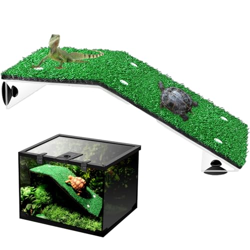 Rasenschildkrötenrampe – Rasen-Schildkröten-Kletterleiter, Schildkröten-Aufhängungsplattforrm, Reptilien-Terrarium-Dekoration, Schildkrötenzubehör, Ruheplattform für kleine Reptilien, , Terrapin Rasenschildkrötenrampe – Rasen-Schildkröten-Kletterleiter, Schildkröten-Aufhängungsplattforrm, Reptilien-Terrarium-Dekoration, Schildkrötenzubehör, Ruheplattform für kleine Reptilien, , Terrapin von brooksnaji