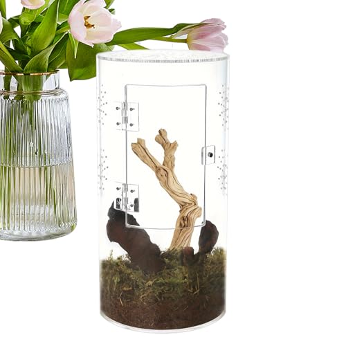 Sprungspinnengehäuse - Arboreal Reptile Acryltank, Transparenter Displaybehälter | Sprungspinnenlebensraum Mit Lüftungsgremien, Easy Deckel Haustier Haus Für Wirbellose Amphibien Miini Kreatur von brooksnaji