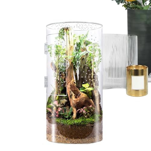 Sprungspinnengehäuse - Arboreal Reptile Acryltank, Transparenter Displaybehälter | Sprungspinnenlebensraum Mit Lüftungsgremien, Easy Deckel Haustier Haus Für Wirbellose Amphibien Miini Kreatur von brooksnaji