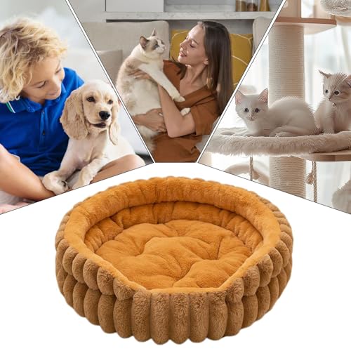 brooksnaji Haustierbetten Für Kleine Hunde,Sanftes Waschbares Haustierbett Für Katze Und Hund | Plüsch Kissenschlafplatz Für Klein- Und Mittelhunde Wohnzimmer Schlafzimmer Wohnung Haus Outdoor brooksnaji Haustierbetten Für Kleine Hunde,Sanftes Waschbares Haustierbett Für Katze Und Hund | Plüsch Kissenschlafplatz Für Klein- Und Mittelhunde Wohnzimmer Schlafzimmer Wohnung Haus Outdoor von brooksnaji