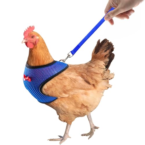 brooksnaji Hühnergurt, Hühnchengabeless mit Seil - Einstellbares Gurttraktionseil,Henne Weste 3,6ft Trainingsseil, Haustiervorräte für Hühnchen, Enten, Gänse und kleine Haustiere brooksnaji Hühnergurt, Hühnchengabeless mit Seil - Einstellbares Gurttraktionseil,Henne Weste 3,6ft Trainingsseil, Haustiervorräte für Hühnchen, Enten, Gänse und kleine Haustiere von brooksnaji