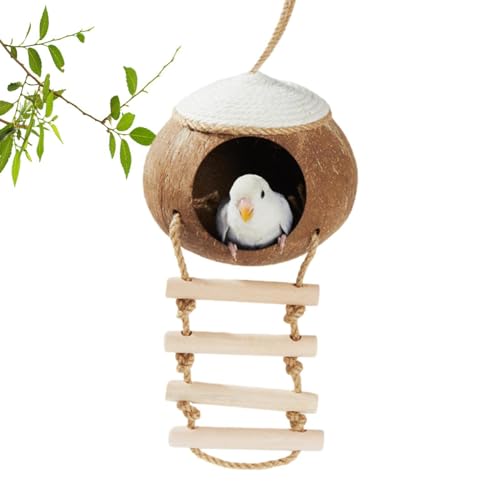 brooksnaji Kokosnüsse Vogelhaus, Vogelkokosnüsse verstecken,Natural Coconuts Shell Hangable Vogelhütte mit Leiter - Hummingbird Pet Cage Habitats, kleine Tiere Haus, Papageihöhle für Terrasse, brooksnaji Kokosnüsse Vogelhaus, Vogelkokosnüsse verstecken,Natural Coconuts Shell Hangable Vogelhütte mit Leiter - Hummingbird Pet Cage Habitats, kleine Tiere Haus, Papageihöhle für Terrasse, von brooksnaji