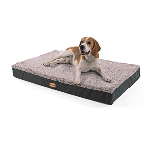brunolie Balu Hundebett in Dunkelbraun, waschbar, orthopädisch und rutschfest, kuscheliges Hundekissen mit atmungsaktivem Memory-Schaum, Größe L (100 x 65 x 10 cm) Grau von brunolie
