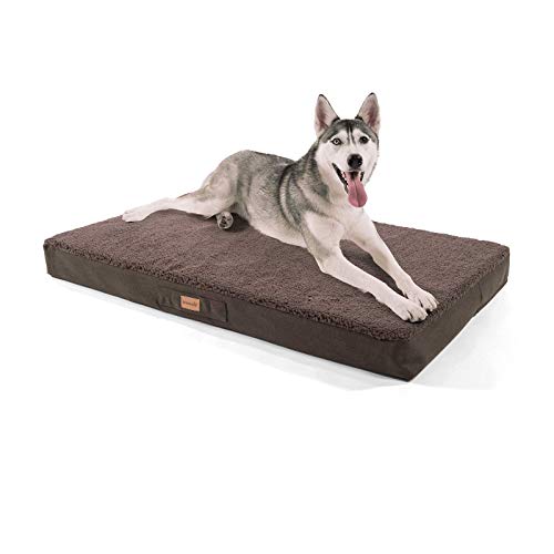 brunolie Balu Hundebett in Dunkelbraun, waschbar, orthopädisch und rutschfest, kuscheliges Hundekissen mit atmungsaktivem Memory-Schaum, Größe XL (120 x 72 x 10 cm) Braun von brunolie
