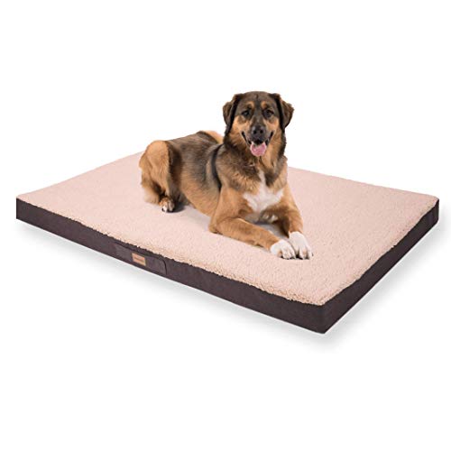 brunolie Balu Hundebett in Dunkelbraun, waschbar, orthopädisch und rutschfest, kuscheliges Hundekissen mit atmungsaktivem Memory-Schaum, Größe XXL (120 x 100 x 10 cm) Beige von brunolie