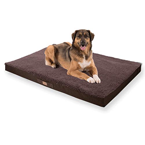 brunolie Balu Hundebett in Dunkelbraun, waschbar, orthopädisch und rutschfest, kuscheliges Hundekissen mit atmungsaktivem Memory-Schaum, Größe XXL (140 x 100 x 10 cm) Braun von brunolie
