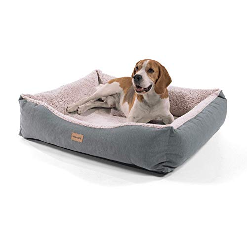 brunolie Emma Hundekorb, waschbar, hygienisch und rutschfest, luftiges Hundebett mit Kissen zum Kuscheln, Größe M (80 x 70 x 20 cm) Beige von brunolie