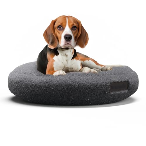 brunolie SnugNest Rundes Hundebett 70 cm – Weiches Bouclé-Gewebe, rutschfeste Unterseite, Tragegriff, Waschbarer Bezug, Hochwertige Polsterung, Für Mittelgroße Hunde, Anthrazit brunolie SnugNest Rundes Hundebett 70 cm – Weiches Bouclé-Gewebe, rutschfeste Unterseite, Tragegriff, Waschbarer Bezug, Hochwertige Polsterung, Für Mittelgroße Hunde, Anthrazit von brunolie