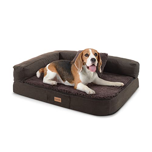 brunolie Odin Hundebett Hundesofa, waschbar, orthopädisch und rutschfest, Hundekissen mit Abnehmbarer Lehne, hundekorb, Größe S 80x60 cm brunolie Odin Hundebett Hundesofa, waschbar, orthopädisch und rutschfest, Hundekissen mit Abnehmbarer Lehne, hundekorb, Größe S 80x60 cm von brunolie