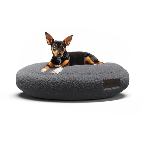 brunolie SnugNest Hundebett Rund 50 cm – Weiches Bouclé-Gewebe, rutschfeste Unterseite, Tragegriff, Waschbarer Bezug, Hochwertige Polsterung, Für Kleine Hunde, Anthrazit brunolie SnugNest Hundebett Rund 50 cm – Weiches Bouclé-Gewebe, rutschfeste Unterseite, Tragegriff, Waschbarer Bezug, Hochwertige Polsterung, Für Kleine Hunde, Anthrazit von brunolie