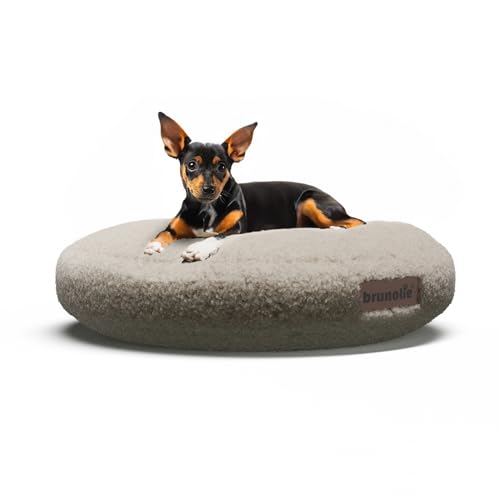 brunolie SnugNest Hundebett Rund 50 cm – Weiches Bouclé-Gewebe, rutschfeste Unterseite, Tragegriff, Waschbarer Bezug, Hochwertige Polsterung, Für Kleine Hunde, Mittelgrau brunolie SnugNest Hundebett Rund 50 cm – Weiches Bouclé-Gewebe, rutschfeste Unterseite, Tragegriff, Waschbarer Bezug, Hochwertige Polsterung, Für Kleine Hunde, Mittelgrau von brunolie