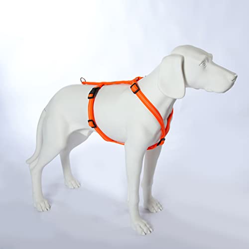 Feltmann Hundegeschirr Mantrailing/Suchgeschirr Basic, Laufgeschirr, Joggergeschirr - Super Soft, Neonorange, reflektierend, Bauchumfang 35-50 cm, 15 mm Bandbreite von brustgeschirr.com