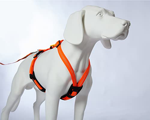 Feltmann Hundegeschirr Mantrailing/Suchgeschirr Profi - Super Soft, Neonorange, reflektierend, Bauchumfang 35-50 cm, 15 mm Bandbreite Feltmann Hundegeschirr Mantrailing/Suchgeschirr Profi - Super Soft, Neonorange, reflektierend, Bauchumfang 35-50 cm, 15 mm Bandbreite von brustgeschirr.com