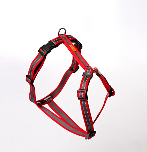 Feltmann Hundegeschirr - Soft-Grip, rot/Silber, Bauchumfang 30-40 cm, 15 mm Bandbreite, 2 bis 4 kg Feltmann Hundegeschirr - Soft-Grip, rot/Silber, Bauchumfang 30-40 cm, 15 mm Bandbreite, 2 bis 4 kg von brustgeschirr.com