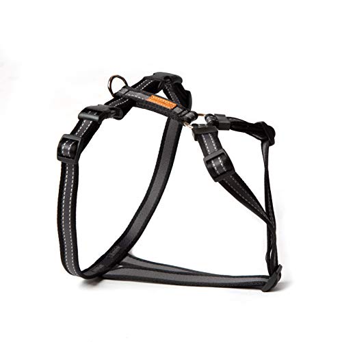 Feltmann Mopsgeschirr Hundegeschirr, Soft Grip, schwarz/Silber, 7-13 kg, 20 mm Feltmann Mopsgeschirr Hundegeschirr, Soft Grip, schwarz/Silber, 7-13 kg, 20 mm von brustgeschirr.com