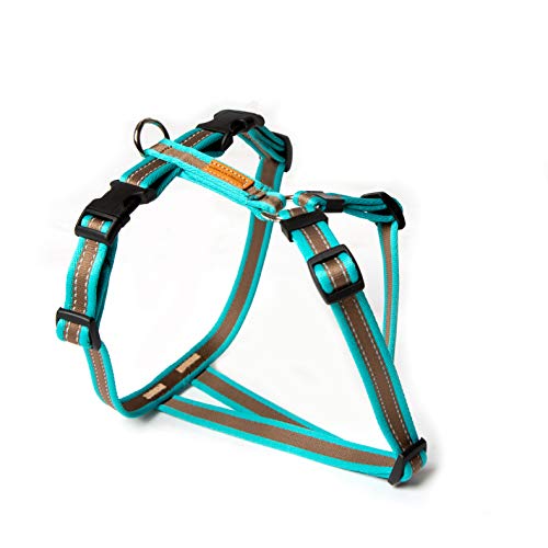 Feltmann Mopsgeschirr Hundegeschirr, Soft Grip, türkis/braun, 7-13 kg, 20 mm Feltmann Mopsgeschirr Hundegeschirr, Soft Grip, türkis/braun, 7-13 kg, 20 mm von brustgeschirr.com