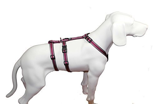 Feltmann NoExit Hundegeschirr Soft-Muster, Pflaume, 25mm/60-80cm Feltmann NoExit Hundegeschirr Soft-Muster, Pflaume, 25mm/60-80cm von brustgeschirr.com