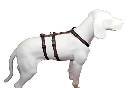 Feltmann NoExit Hundegeschirr Soft-Streifen, braun, 15mm/40-60cm Feltmann NoExit Hundegeschirr Soft-Streifen, braun, 15mm/40-60cm von Brustgeschirr