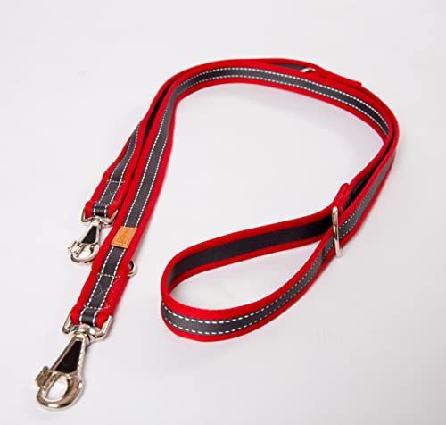 Hundeleine, Soft Grip Nylonleine, Führleine rot/Silber, 3-Fach verstellbar 100-210 cm, 20 mm - passend zu den Feltmann Hundegeschirren, Kanten gepolstert, reflektierende Ziernähte von brustgeschirr.com