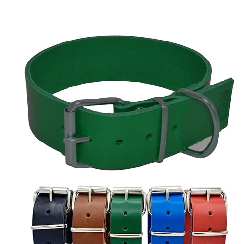 BUB's Hundehalsband aus Rindsleder, Herkunft Europa, weich und widerstandsfähig, pflanzliche Gerbung (Grün, Größe XL, verstellbar von 47 bis 57 cm Breite 40 mm) von bub's