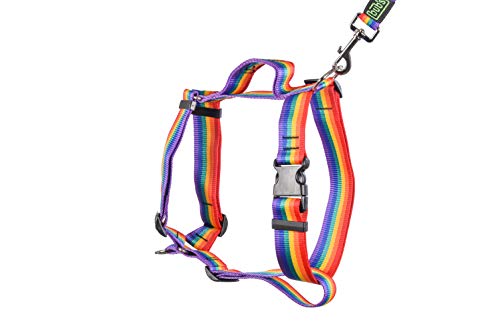 Bub's® Großes Hundegeschirr mit Ziehgriff - H-Form - Brustgeschirr für Hunde (groß mit Griff, Rainbow) von bub's