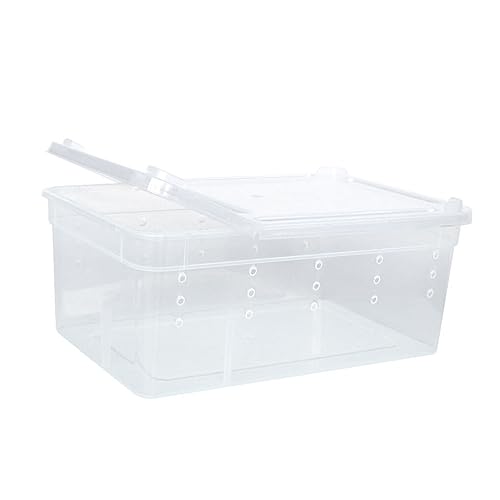 budiniao 10 teiliger Futterbehälter für Reptilien, Insektenzubehör, stapelbar, Aufzuchtboxen, Haushalt, Laden, Krabbeln, Aufbewahrung, Weiß budiniao 10 teiliger Futterbehälter für Reptilien, Insektenzubehör, stapelbar, Aufzuchtboxen, Haushalt, Laden, Krabbeln, Aufbewahrung, Weiß von budiniao
