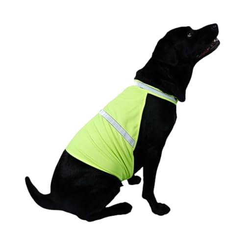 budiniao Fluoreszierende Hundeweste mit hoher Sichtbarkeit, angenehm zu tragen für Hundebegleiter. Polyester Hundeweste mit hoher Sichtbarkeit, stilvoll, Zitronengelb, S von budiniao