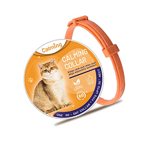 budiniao Halsschnalle, lindert Ängste, einziehbares Katzenhalsband, schweißfest, beseitigt Unruhe, wasserdicht, Haustiere, beruhigende Produkte. Shop budiniao Halsschnalle, lindert Ängste, einziehbares Katzenhalsband, schweißfest, beseitigt Unruhe, wasserdicht, Haustiere, beruhigende Produkte. Shop von budiniao