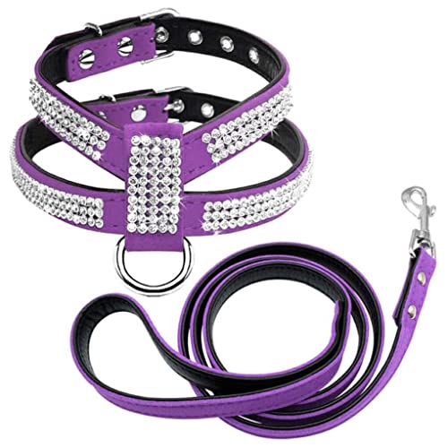 budiniao Haustier-Geschirr aus Leder, tragbar, verstellbar, faltbar, strapazierfähig, abnehmbares Halsband, Garten, Brustgurt, Zubehör, Violett, L budiniao Haustier-Geschirr aus Leder, tragbar, verstellbar, faltbar, strapazierfähig, abnehmbares Halsband, Garten, Brustgurt, Zubehör, Violett, L von budiniao