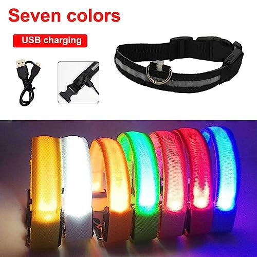 budiniao Haustier Halsband LED Haustier einstellbar Leuchtend Auto Anti verlorene Halsbänder Zubehör Sicherheit Wanderaktivitäten USB für Tag und Nacht, Wiederaufladbares Rosa, L budiniao Haustier Halsband LED Haustier einstellbar Leuchtend Auto Anti verlorene Halsbänder Zubehör Sicherheit Wanderaktivitäten USB für Tag und Nacht, Wiederaufladbares Rosa, L von budiniao