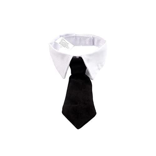 budiniao Haustier Hund Katze Krawatte Prop Pflege Kleidung Ornament Fliegen Dekorationen Katzen Halsbänder Zubehör Verstellbare Halsband Dekoration, Schwarz, S31cm budiniao Haustier Hund Katze Krawatte Prop Pflege Kleidung Ornament Fliegen Dekorationen Katzen Halsbänder Zubehör Verstellbare Halsband Dekoration, Schwarz, S31cm von budiniao