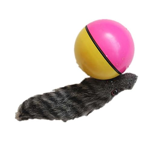 budiniao Interessantes Haustierspielzeug Hund Innovativer Ball zum Rollen Spaß Kunststoff Biber Wiesel Spielzeug Biber Ball Spielzeug Einzigartiges Haustierspielzeug von budiniao