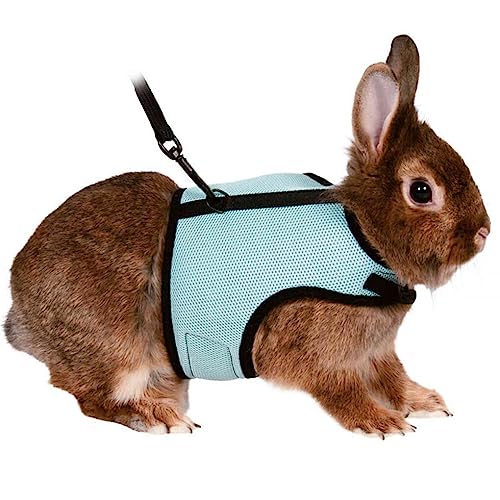 budiniao Nylon Weste Typ Kragen Tragbar Verstellbarer Haustier Brustgurt Outdoor Wandern Wandern Reisen Kleintiere Geschirr Leine, Blau, XL budiniao Nylon Weste Typ Kragen Tragbar Verstellbarer Haustier Brustgurt Outdoor Wandern Wandern Reisen Kleintiere Geschirr Leine, Blau, XL von budiniao