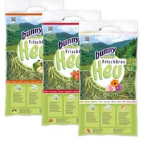 Bunny Frischgras-Heu Set Karotte, Kamille und Vital-Gemüse 3x500 g Bunny Frischgras-Heu Set Karotte, Kamille und Vital-Gemüse 3x500 g von bunny