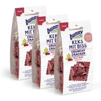 Bunny Keks mit Biss Rote Bete 3x50 g von bunny