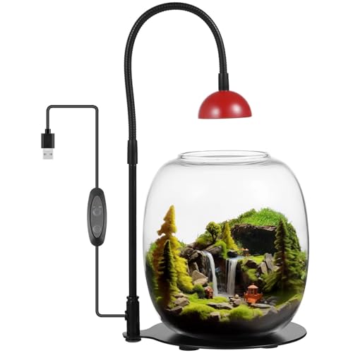 Glas-Terrarium mit Licht für Sukkulenten, zeitgesteuertes Wachstumslicht mit USB-Stromversorgung, ideal für Miniaturgärten, Betta-Fische und Innendekoration Glas-Terrarium mit Licht für Sukkulenten, zeitgesteuertes Wachstumslicht mit USB-Stromversorgung, ideal für Miniaturgärten, Betta-Fische und Innendekoration von byepica