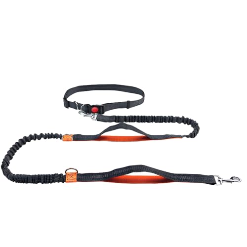 byepica Reflektierende Bungee-Leine, freihändige Hundeleine zum Laufen, verstellbarer Hüftgurt für Menschen, Länge 1,5 - 2,5 m byepica Reflektierende Bungee-Leine, freihändige Hundeleine zum Laufen, verstellbarer Hüftgurt für Menschen, Länge 1,5 - 2,5 m von byepica