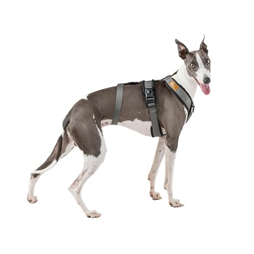 3-Punkt-Gurt mit Anti-Ziehen, ideal für Lebreles: Italienischer Windhund, Whippet, Windhund, Podenco - sicher, atmungsaktiv und langlebig, perfekt zum Wandern, Training und Laufen, Anthrazit, S 3-Punkt-Gurt mit Anti-Ziehen, ideal für Lebreles: Italienischer Windhund, Whippet, Windhund, Podenco - sicher, atmungsaktiv und langlebig, perfekt zum Wandern, Training und Laufen, Anthrazit, S von candyPet
