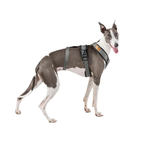3-Punkt-Gurt, Anti-Ziehen, ideal für Lebreles: Italienischer Windhund, Whippet, Windhund, Podenco - sicher, atmungsaktiv und langlebig, perfekt zum Wandern, Training und Laufen, Anthrazit, M 3-Punkt-Gurt, Anti-Ziehen, ideal für Lebreles: Italienischer Windhund, Whippet, Windhund, Podenco - sicher, atmungsaktiv und langlebig, perfekt zum Wandern, Training und Laufen, Anthrazit, M von candyPet