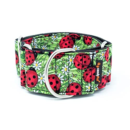 candyPet® Martingale Dog Collar - Ladybugs, SPECIAL WIDTH von candyPet