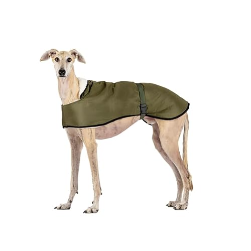 Regenmantel für Windhund: Stil, Schutz vor Kälte und Regen, Lammfutter, Wärmedämmung, Loch für Geschirr, ideal für Windhund, Greyhound, und Podencos - Khaki, M Regenmantel für Windhund: Stil, Schutz vor Kälte und Regen, Lammfutter, Wärmedämmung, Loch für Geschirr, ideal für Windhund, Greyhound, und Podencos - Khaki, M von candyPet