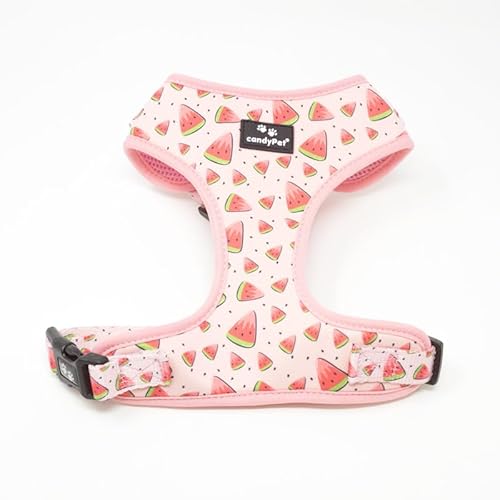 candyPet®- Adjustable Dog Collar and Chest Harness, Neoprene and Breathable Mesh, WATERMELON, M candyPet®- Adjustable Dog Collar and Chest Harness, Neoprene and Breathable Mesh, WATERMELON, M von candyPet