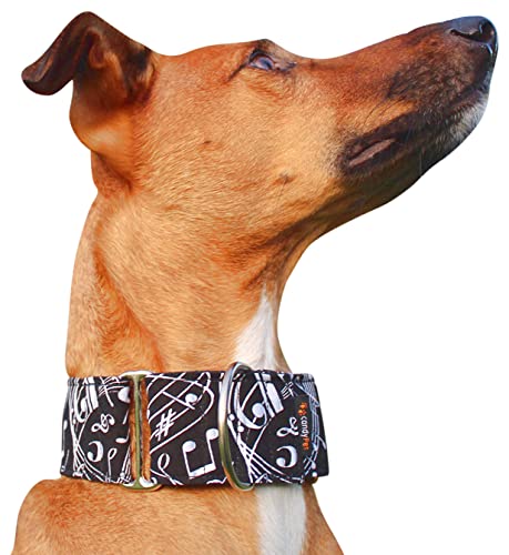 candyPet® Martingale Dog Collar - Music, S von candyPet