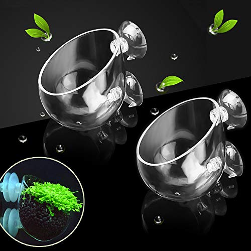 capetsma Wasserpflanzentopf, Kristallglas, Pflanzentopf für Aquarien, rote Garnelen, lebende Pflanzen, Halter mit 4 Saugnäpfen, Aquarium-Dekoration, 2 Stück capetsma Wasserpflanzentopf, Kristallglas, Pflanzentopf für Aquarien, rote Garnelen, lebende Pflanzen, Halter mit 4 Saugnäpfen, Aquarium-Dekoration, 2 Stück von capetsma