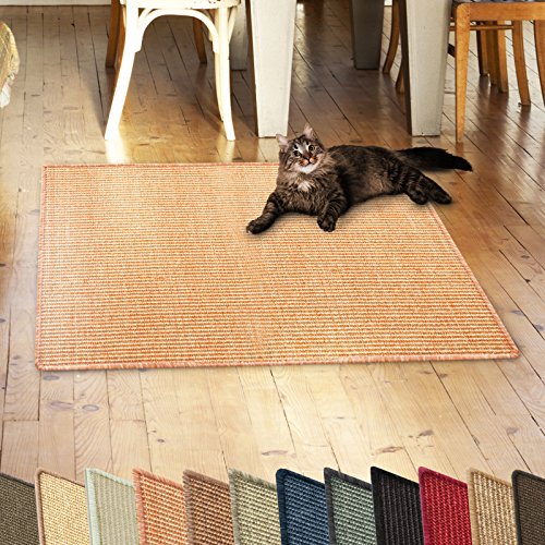 casa pura Katzen Kratzmatte aus Natur Sisal Kratzteppich Kratzmöglichkeiten für Katzen Kratzmöbel für Wand oder Boden - robust & waschba 50x50 cm Terra casa pura Katzen Kratzmatte aus Natur Sisal Kratzteppich Kratzmöglichkeiten für Katzen Kratzmöbel für Wand oder Boden - robust & waschba 50x50 cm Terra von casa pura