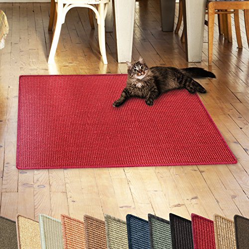 casa pura Katzen Kratzmatte aus Natur Sisal Kratzteppich Kratzmöglichkeiten für Katzen Kratzmöbel für Wand oder Boden - robust & waschba 60x80 cm Rot von casa pura