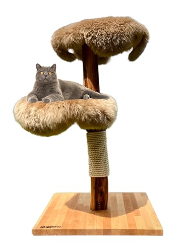 MAU Katzen Kratzbaum, 100 cm Natur Holz - Modell: Munchkin - nachhaltig, stabil & platzsparend (Naturfell (Hellbraun)) von cat approved