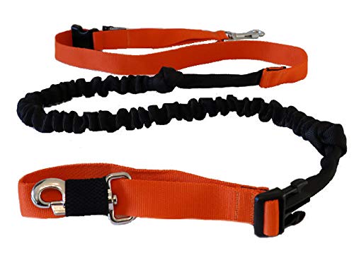Canicross Leine für die Hände frei – ausziehbarer Stoßdämpfer ausziehbar 2,5 m: Jogging, Skifahren und Joggen erneuern den Spaziergang mit dem Hund (L: 30 + kg, Orange) von cat-or-dog.boutique