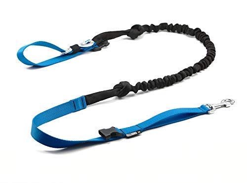 cat-or-dog.boutique Canicross Leine für die Hände frei – ausziehbarer Stoßdämpfer ausziehbar 2,5 m: Jogging, Skifahren und Joggen erneuern den Spaziergang mit dem Hund (L: 30 + kg, blau) von cat-or-dog.boutique